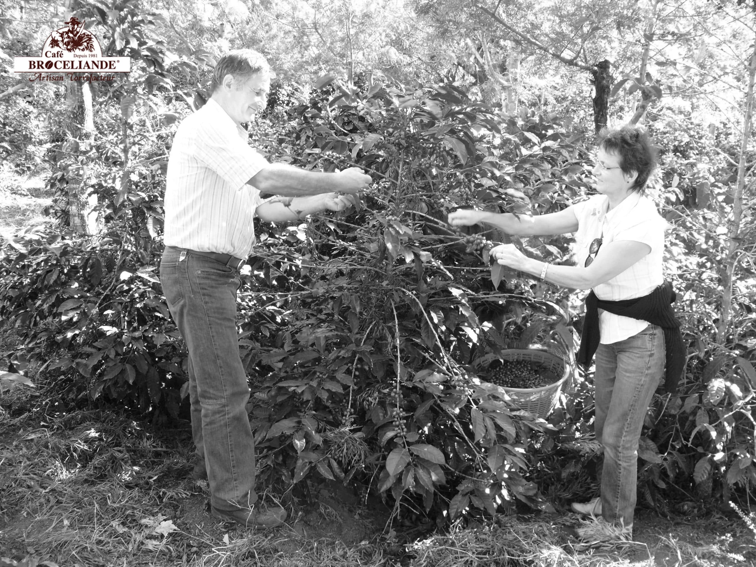 joël odile pessel voyage guatemala café