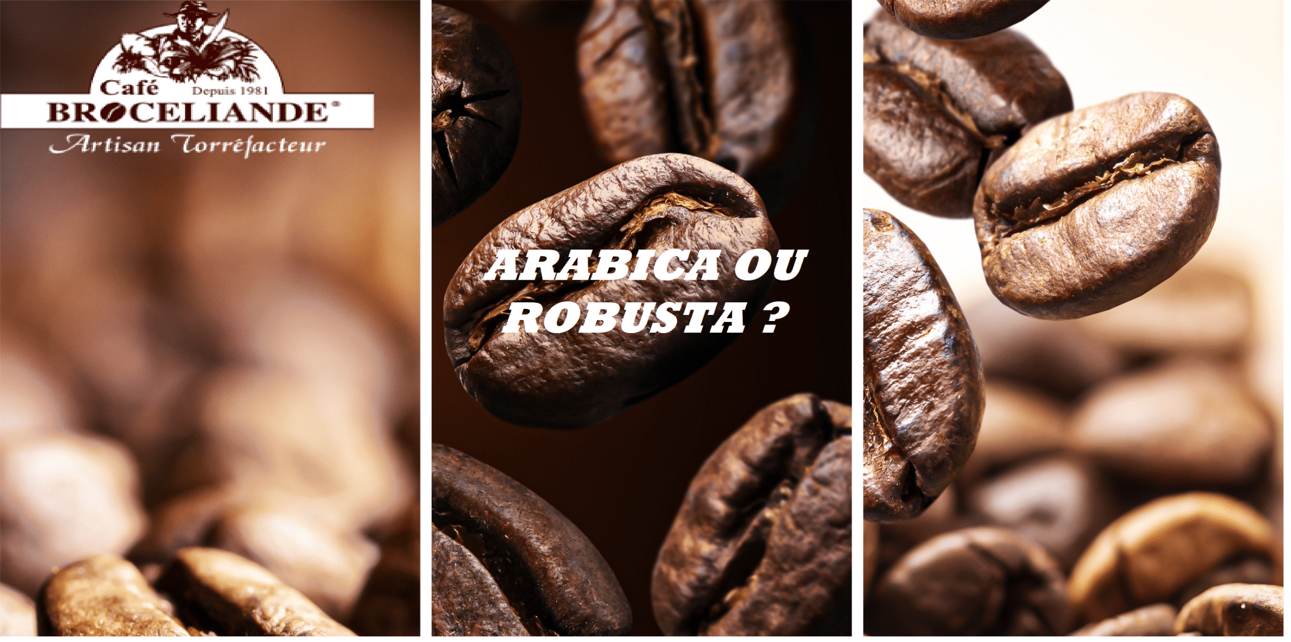 café en grain arabica ou robusta