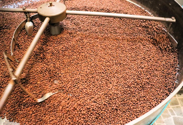 torréfaction café en grain