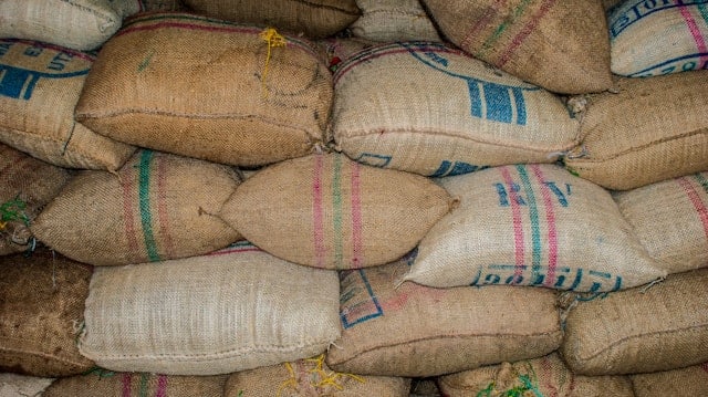 cafe carabica et robusta
