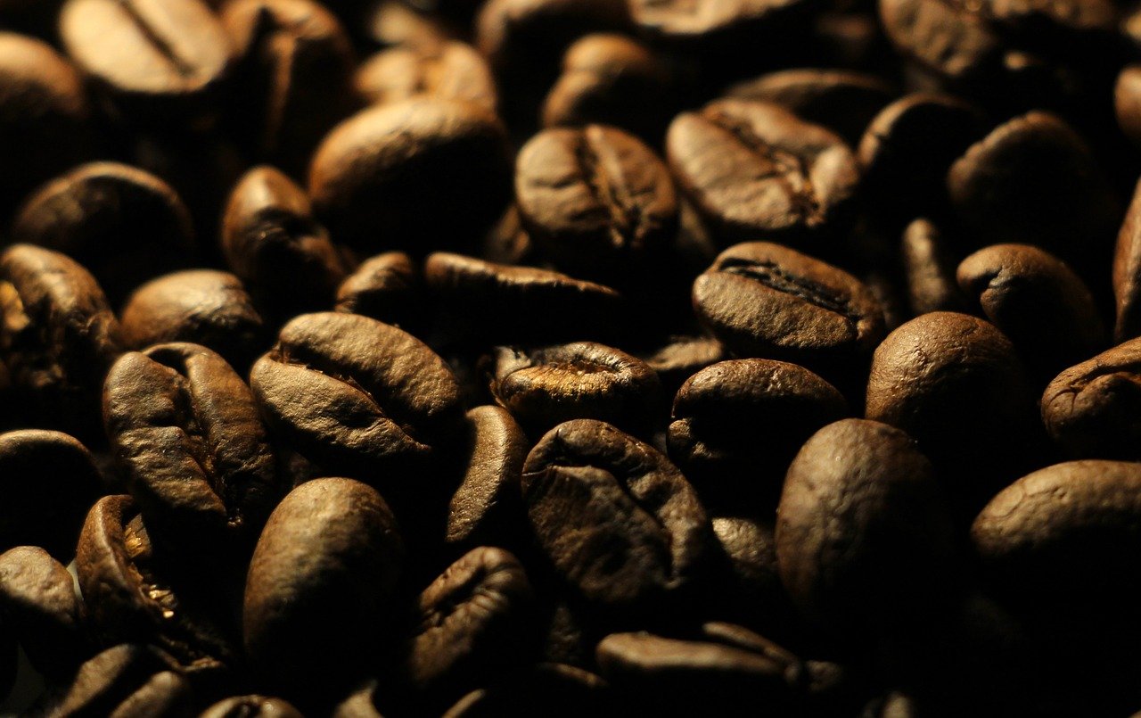 grain de café afrique
