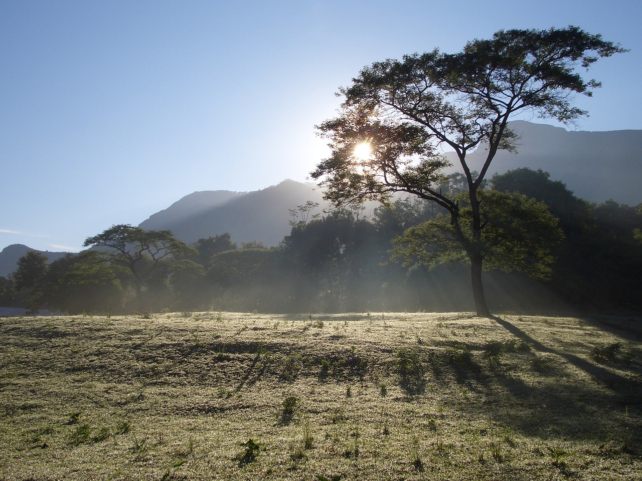 tanzanie